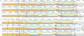 Comparison of Chrome dev tools performance minimap chart of home page build with Styled Components and Linaria. Pages build with Linaria have a visually smaller amount of long-running task, loading finished earlier and had better FPS.